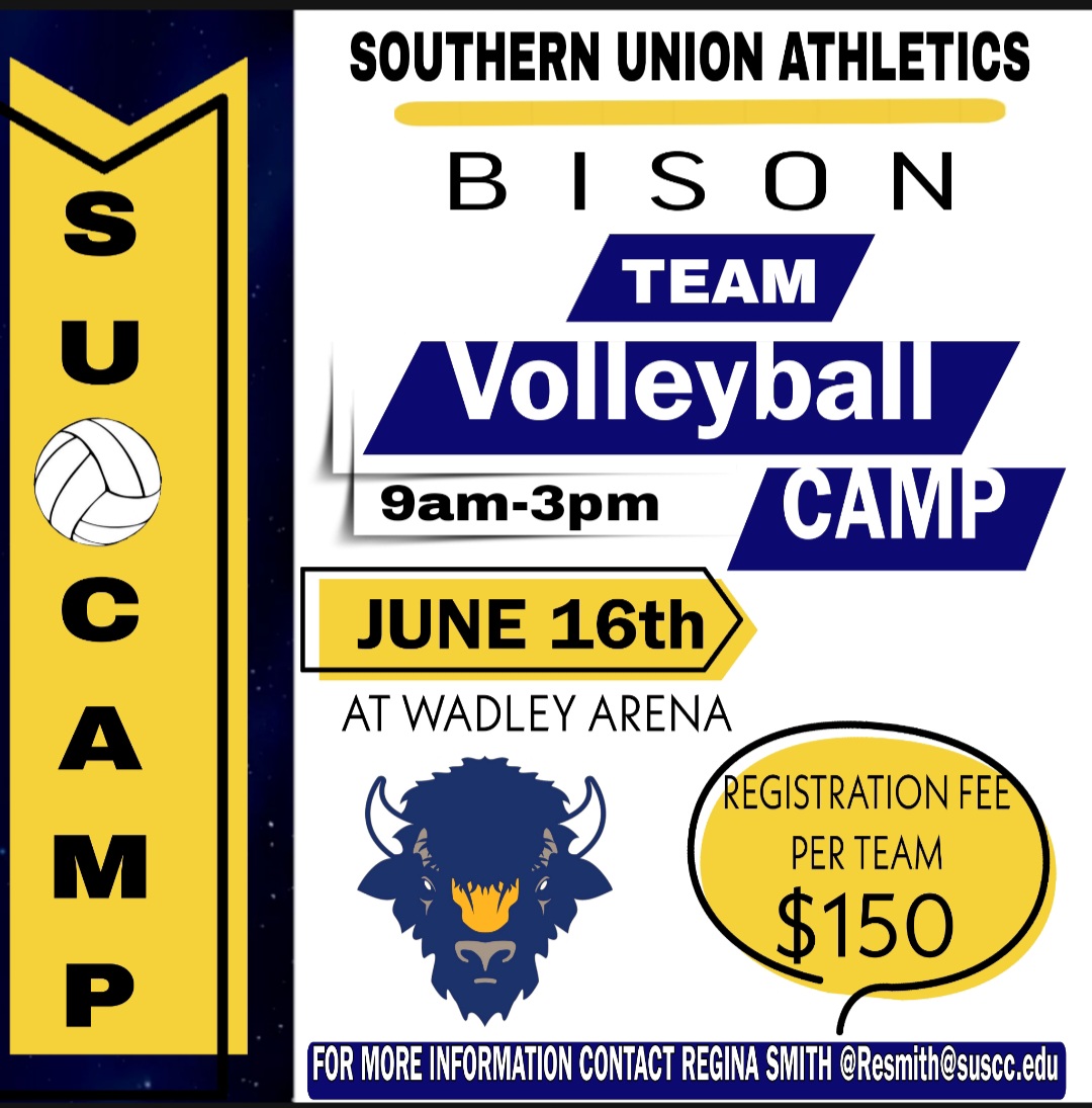 a volleyball camp flyer