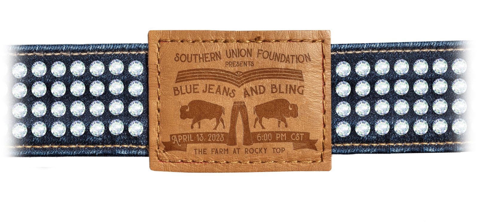 Blue Jean and Bling photo